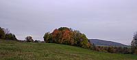 Rybí