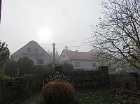 Třibřichy