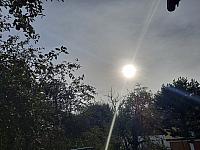 Olešná