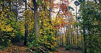 Třebíč-Borovina