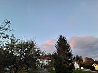 Olešná