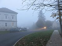 Třibřichy