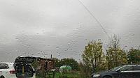 Rybí
