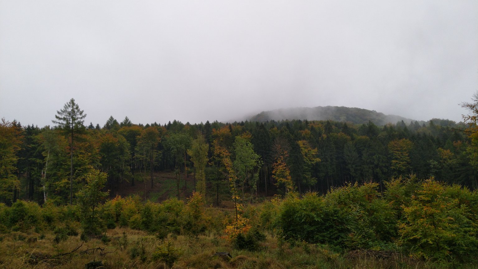 Líska