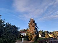 Olešná