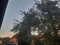 Olešná