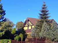 Markvartice