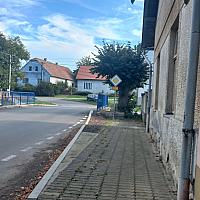 Třibřichy