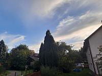 Olešná