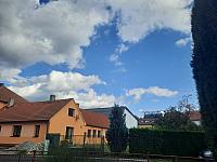 Olešná