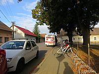 Třibřichy