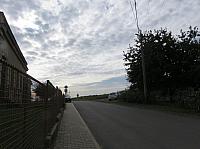 Třibřichy