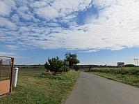 Třibřichy