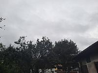 Olešná