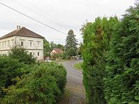 Třibřichy