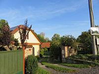 Třibřichy