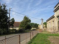 Třibřichy
