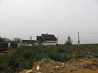 Třibřichy