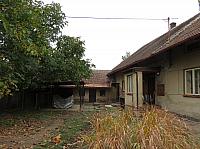 Třibřichy