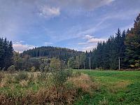 Bukovec
