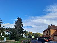 Olešná