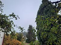 Olešná
