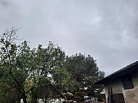 Olešná
