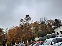 Jihlava