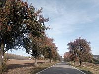 Lukovany