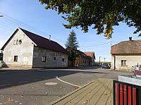 Třibřichy