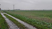Císařov