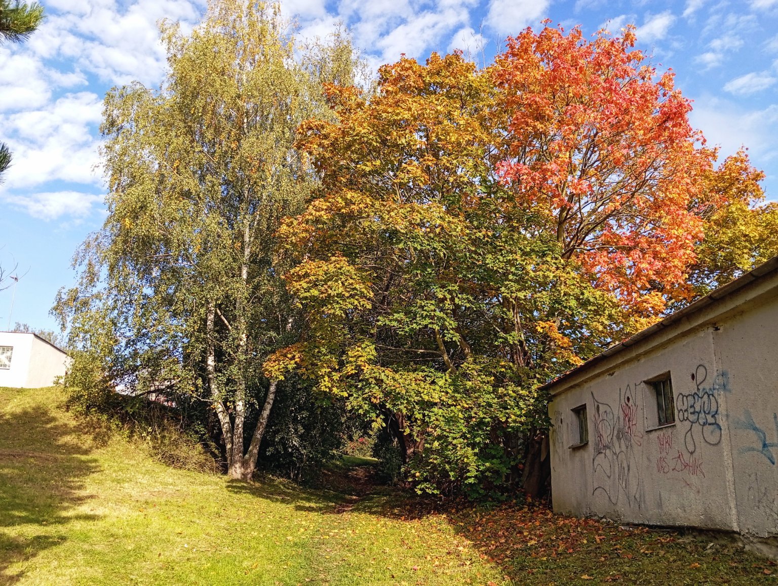 Třebíč-Borovina