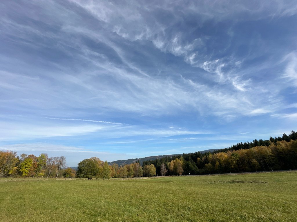 Srní