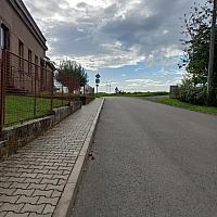 Třibřichy
