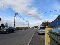 Třibřichy