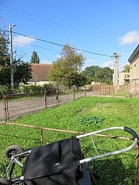 Třibřichy
