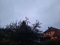 Olešná