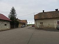 Třibřichy