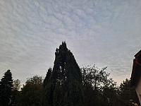 Olešná
