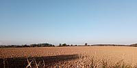 Lukovany