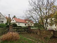 Třibřichy