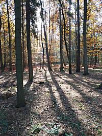 Kladno