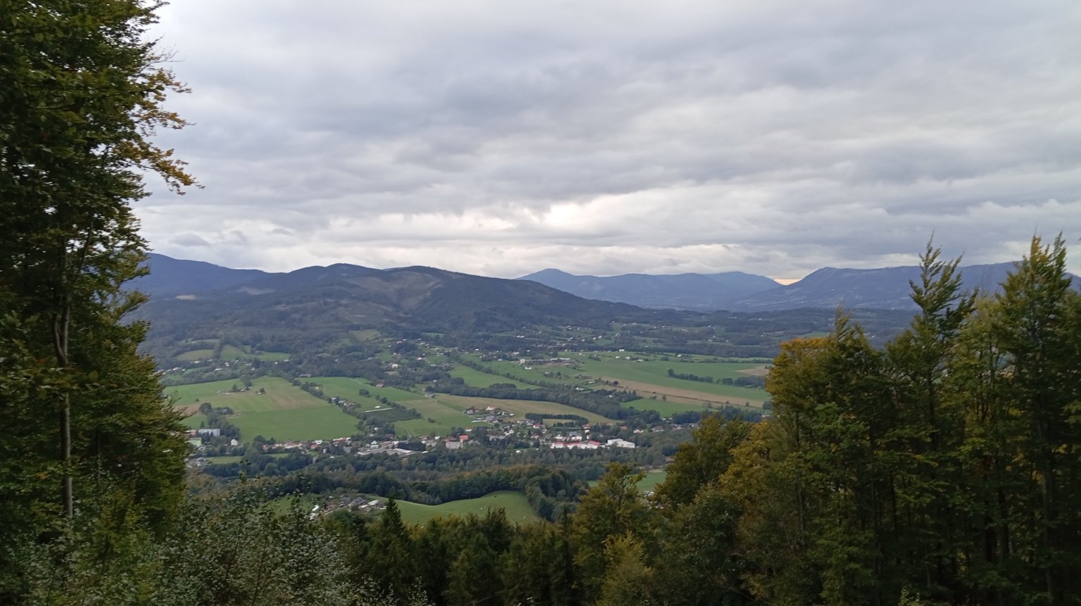 Prasiva