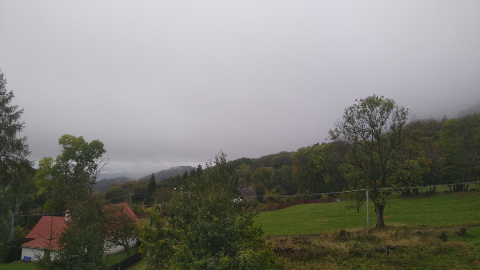 Líska
