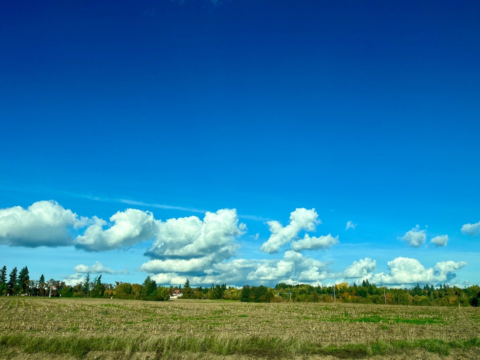 Dobříš