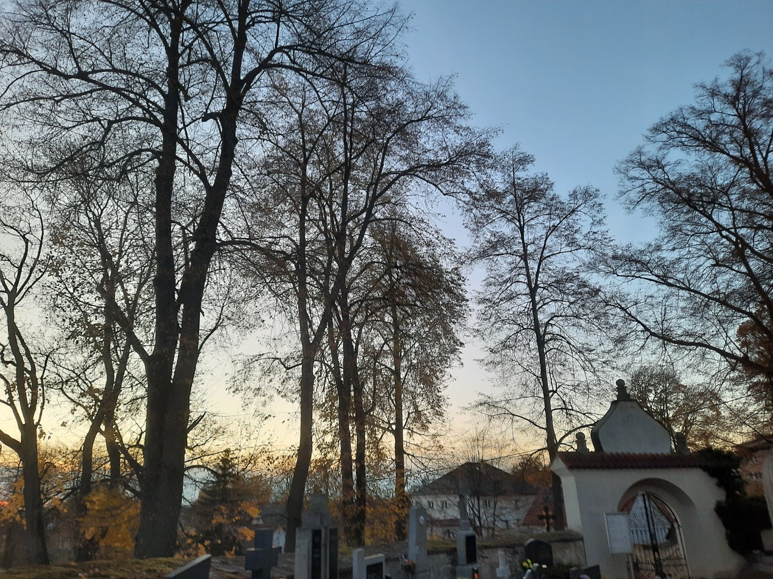 Chvojnov