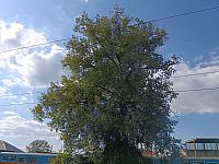 Olomouc-Pavlovičky