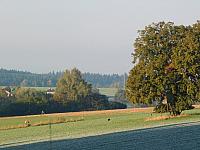 Němčice Zhoř