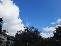 Olešná