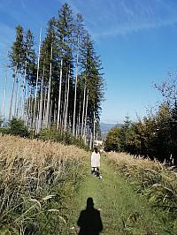 Čadca